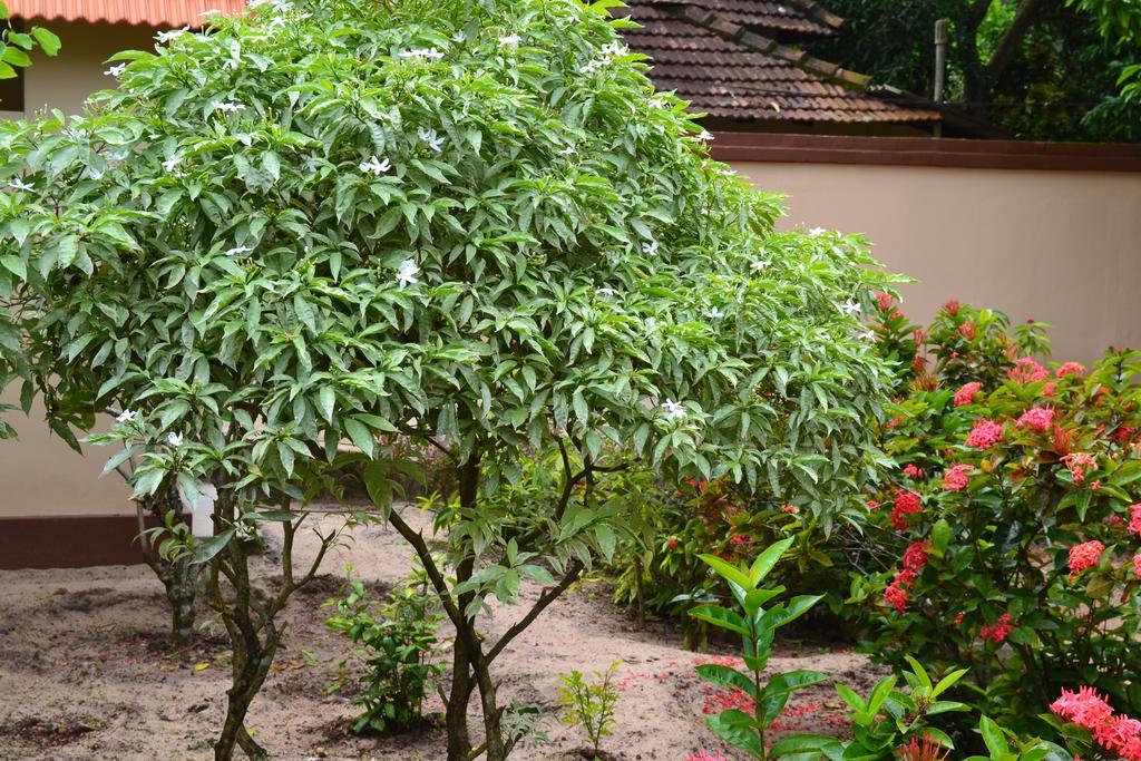 Tharavad Heritage Alappuzha Ngoại thất bức ảnh